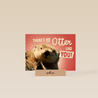 theres no otter like you