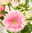 Boeket Bloemen Ritual of Sakura