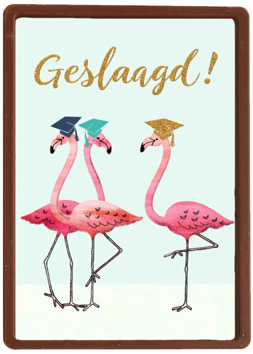 Flamingo geslaagd