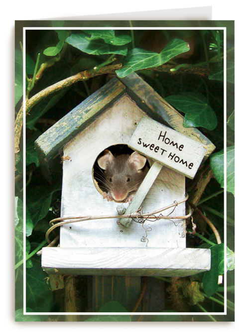 Verhuisd muis huisje