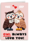 Folio Owl Always Love You