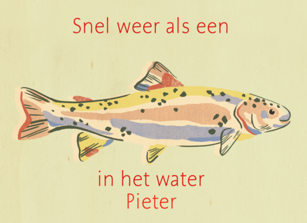 Beterschap Snel Weer Als Een Vis