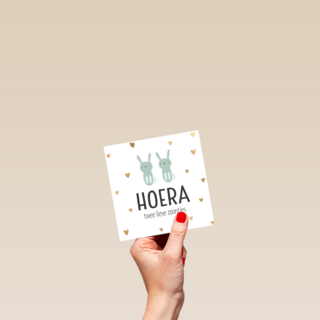 geboorte meerling jongetjes hoera lieve zoontjes