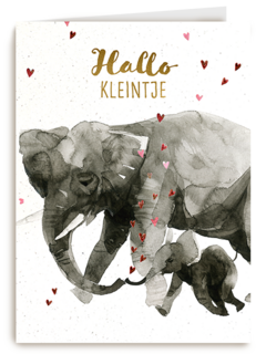 Geboortefelicitatie olifant hallo kleintje