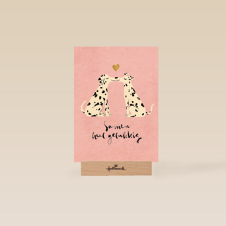 Love Story Samen heel gelukkig