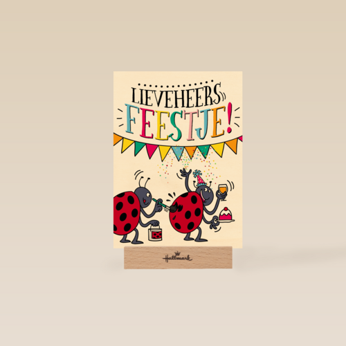 verjaardagskaart lieveheersfeestje