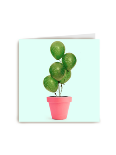 plant met ballonnen