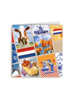 collage holland