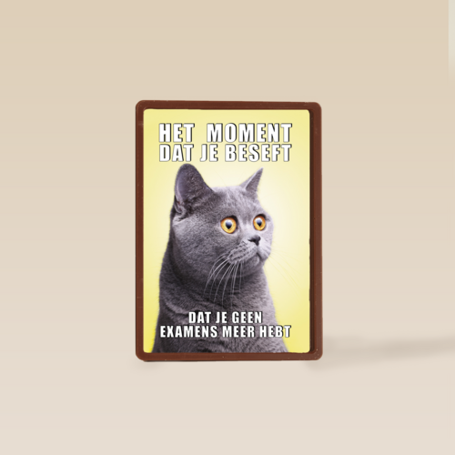Geslaagd kaart Kat grappig