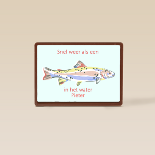 Beterschap Snel Weer Als Een Vis