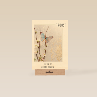 kerst troost zit in de kleine dingen