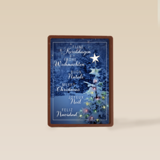 meertalige seeuw in het bos