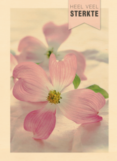 sterkte heel veel sterkte