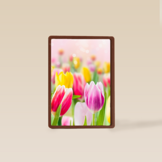lente kaart tulpen voorjaar