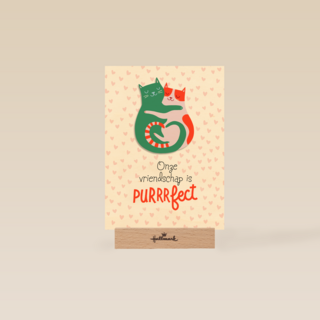 Onze vriendschap is purrrfect