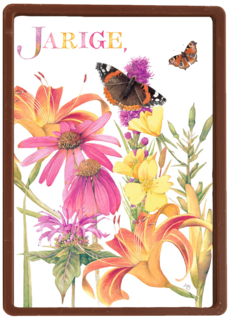 voor de jarige gekleurde bloemen en vlinders