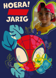 Spidey and friends Verjaardagskaart