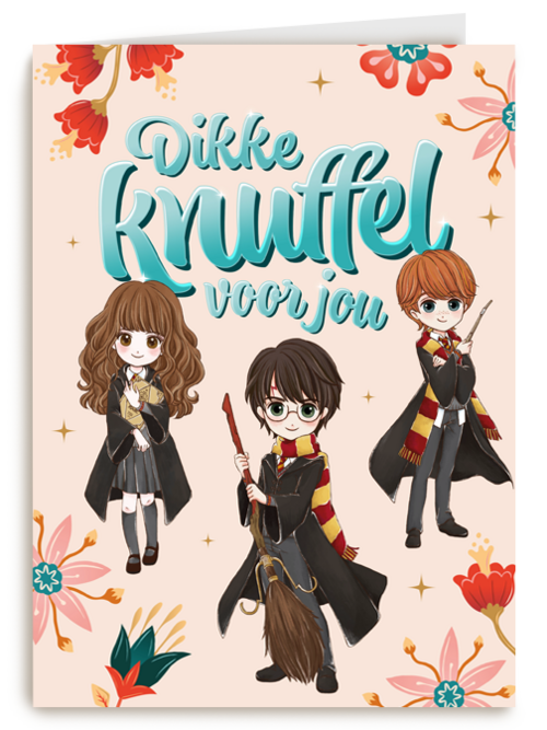 Vriendschapkaart Dikke knuffel Harry Potter