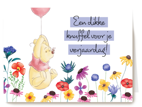 Winnie de Poeh dikke knuffel
