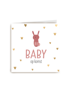 zwangerschap aankondiging baby dochter op komst
