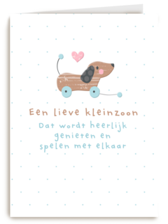 geboorte kleinzoon een lieve kleinzoon