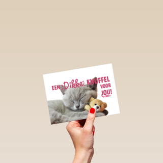 een dikke kattenknuffel voor jou