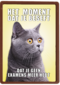 Geslaagd kaart Kat grappig