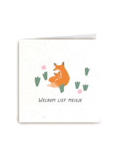 Geboortefelicitatie vos welkom lief meisje