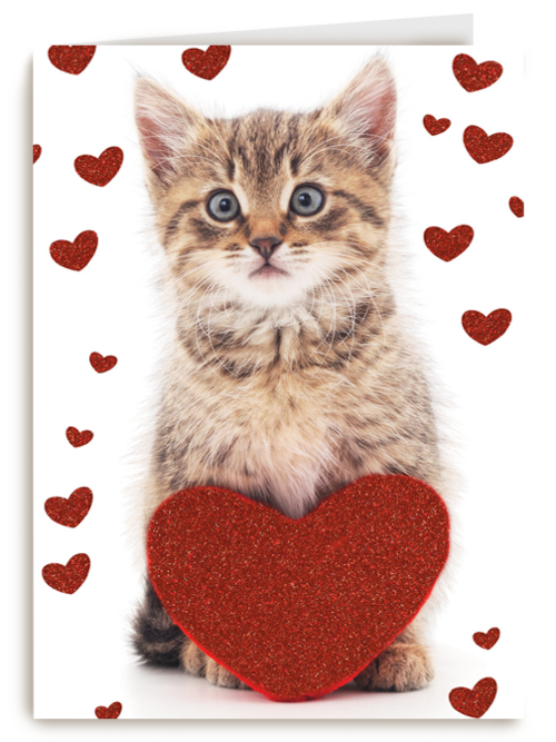 valentijnskaart klassiek poes met hart