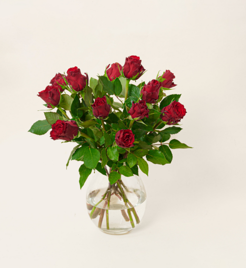 Brievenbusbloemen Rozen Rood