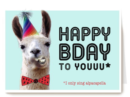 happy bady party alpaca