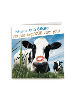 dikke verjaardagskus van een koe