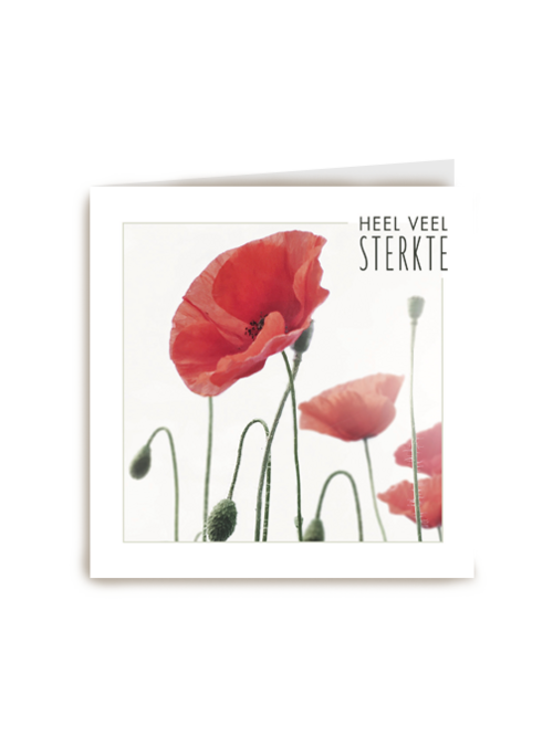 sterkte heel veel sterkte nu