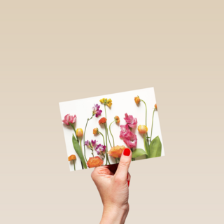 veldbloemen