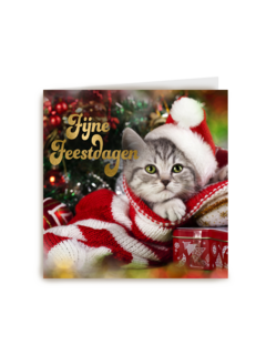 Kerstkaart schattige kat fijne feestdagen