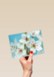 mooie witte bloemen met roze en gele accenten