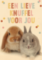 konijntjes een lieve knuffel voor jou