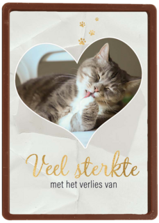 Fotokaart veel sterkte met verlies kat