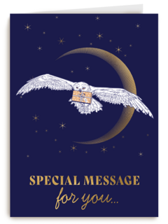 Special message for you Harry Potter