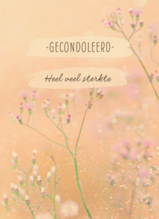Gecondoleerd Heel veel sterkte