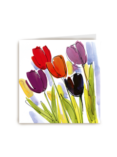 Chromazone Tulpen