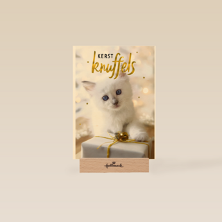 kerstknuffel van een kitten