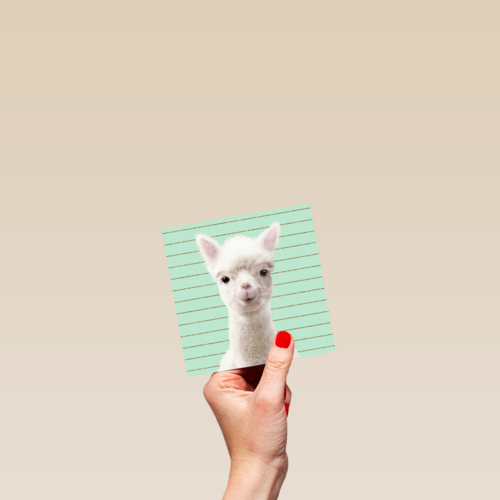 Blanco kaart alpaca