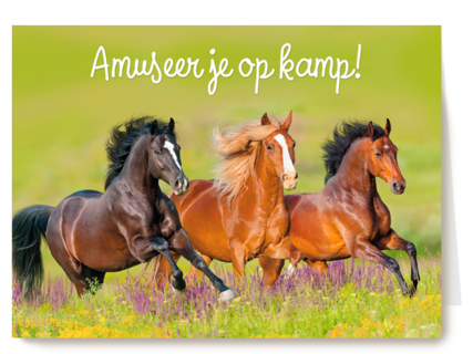 amuseer je op kamp
