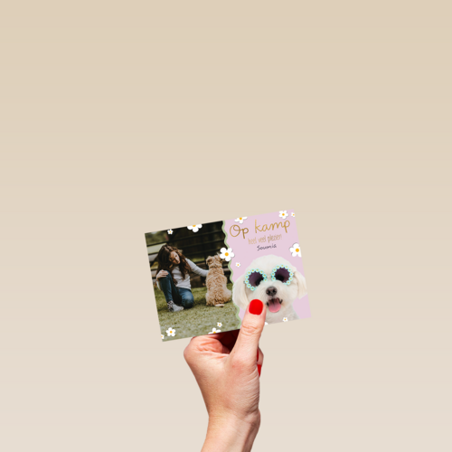 Op kamp heel veel plezier roze hond fotokaart