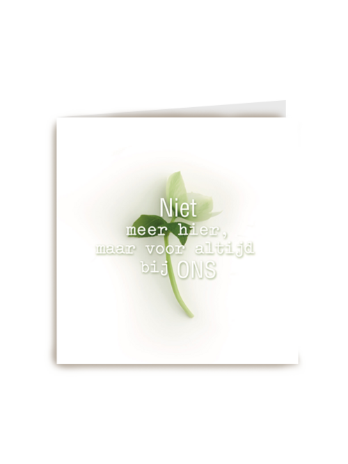 botanical kaart niet meer hier maar voor altijd bij ons