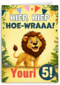 Verjaardag Jongen Hoewraaa