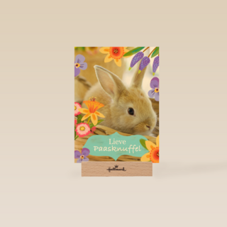 Lieve paasknuffel