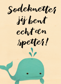 jij bent echt een spetter