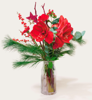 Boeket Bloemen Rouge Noelle